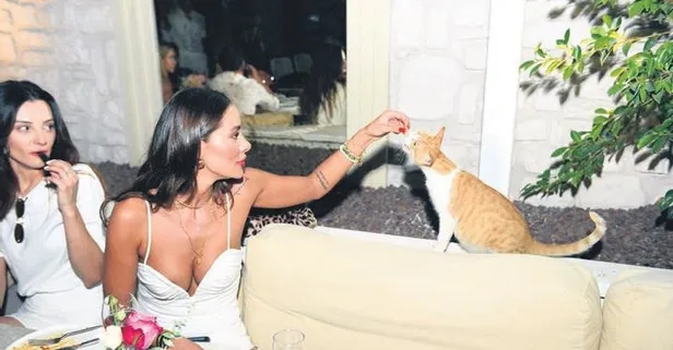 Seda Canbolat yemek isteyen kediyi elleriyle böyle besledi!