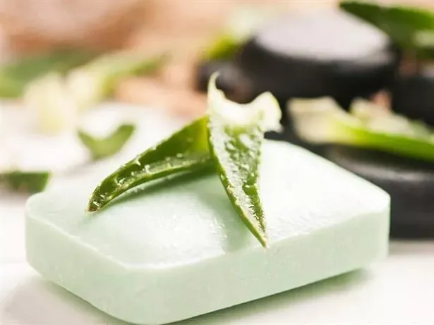 aloe-vera-sabunu-ne-ise-yarar-faydalari-nelerdir-aloe-vera-sabunu-nasil-kullanilir-1652792462712.jpeg