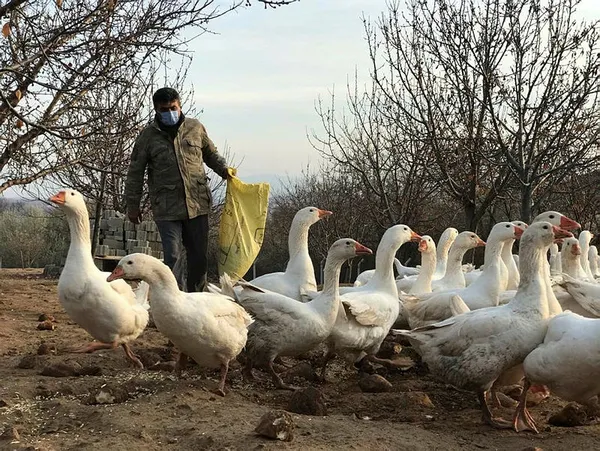 Maliye’den emekli oldu bu işe girdi! Paraya para demiyor-4