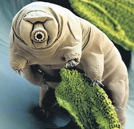 SpaceX, uzaya 3 tonluk kargo roketi gönderdi (Dünya haberleri)-1