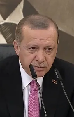 Erdoğan: Arakan'da kamplar kurmayı planlıyoruz