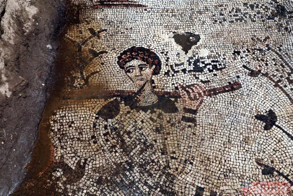 Kaçak kazıda bulunan mozaikler 98 parçaya bölünerek Zeugma Mozaik Müzesi'ne taşınıyor - 6