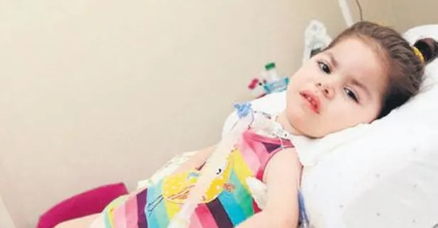 Bergüzar Korel: Yatacak yeriniz yok