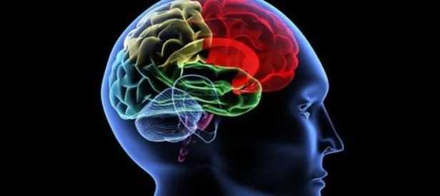 resimdeki-kurbagayi-bulabilir-misin-1000-kisiden-999u-bulamadi-1724761189204.jpg Resimdeki kurbağayı bulabilir misin? 1000 kişiden 999'u bulamadı-3