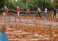 Son dakika: Koronavirüsten son 24 saatte Brezilyada 1280, Meksikada 648, Hindistanda 507 kişi öldü