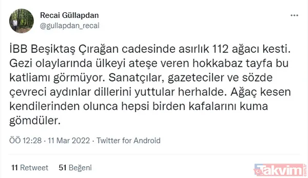 Gezici tayfa ve sözde çevrecilerin ikiyüzlülüğü! CHP'li İBB'nin ağaç katliamı karşısında dilini yuttular: Tepkiler çığ gibi - 6