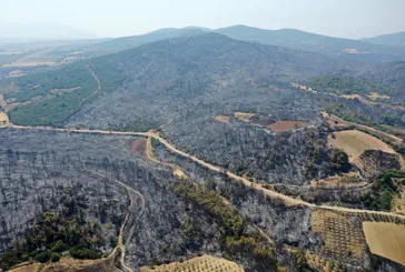 YEŞİLDEN GRİYE! İzmir, Aydın, Manisa ve Uşak yangınlarından geriye bu görüntüler kaldı! 10 yılda Yalova kadar alan kül oldu