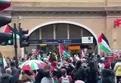 Dünya Filistin için ayakta