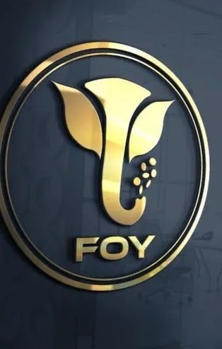 Gökhan Özbek, Çağlar Cilara, Kemal Özkiraz ve Levent Özeren'in para karşılığı Twitter'da parlattığı FOY Token battı