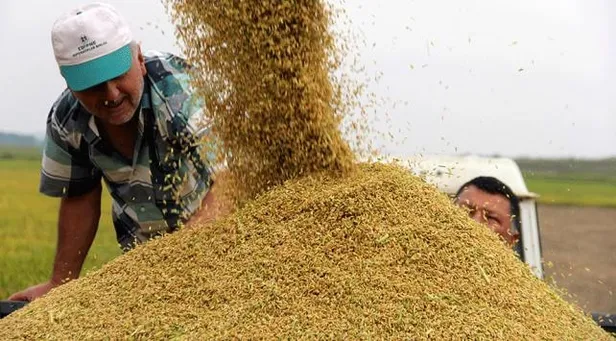 celtik-fiyatlari-ne-kadar-oldu-tmo-baldo-osmancik-fiyati-kac-tl-ne-kadar-oldu-celtik-hasadi-alim-fiyatlari-2021-1630949183385.png TMO Baldo, Osmancık fiyatı kaç TL, ne kadar oldu? Çeltik hasadı alım fiyatları 2021! Çeltik fiyatları ne kadar oldu?-2