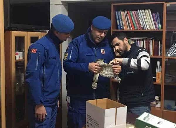 Kilis'te ele geçirildi! Tam 500 adet-3