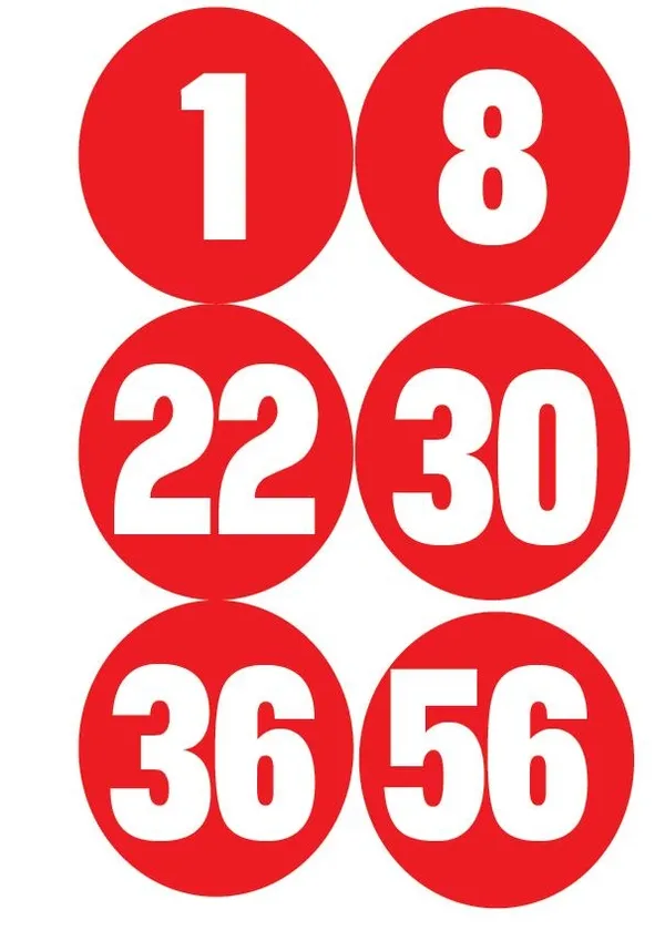 12 yaşındaki Arda Çamlar satrançta namağlup şampiyon oldu (Yaşam haberleri)-1