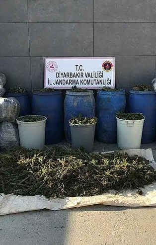 Son dakika: Diyarbakır'da terör operasyonunda 702 kilo esrar ele geçirildi