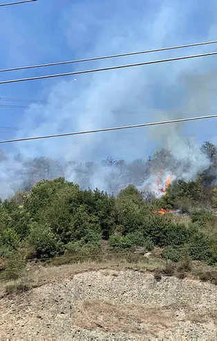 Son dakika: Ereğli’de 2 dönüm ormanlık alan yandı