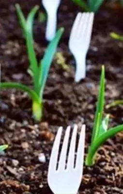 Hayat kurtaran pratik bilgiler