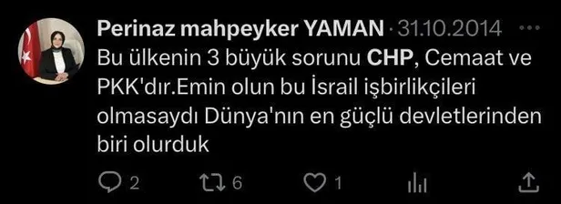 Kemal Kılıçdaroğlu kendisini 'hain ve kanı bozuk' ilan eden Perinaz Mahpeyker Yaman'ı genel başkan danışmanı yaptı