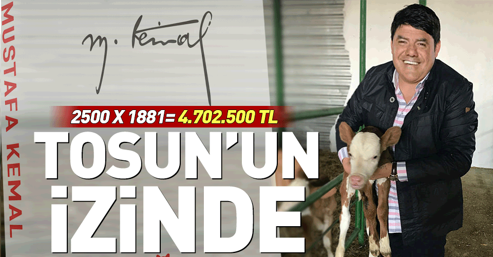 Dolandirici Tosun U Oven Yilmaz Ozdil Ataturk Un Sirtindan Milyonlar Kazanacak Takvim