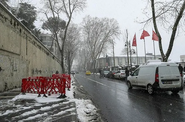 CHP'li İBB'nin Çırağan Caddesi'ndeki 112 çınar ağacını katletmesine sanatçılar tepki gösterecek mi?