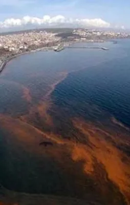 Marmara'da dikkat çeken görüntü! Turuncuya döndü