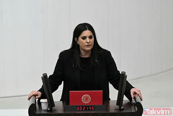 Türkiye Büyük Millet Meclisi'nde yeni dönem başladı! Milletvekilleri yemin ediyor… - 15