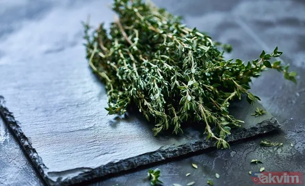 Vücuttaki zehri atmak için yalnızca tek kaşık yemek yeterli bir eşi daha yok! Sigara içenler bu mucize besini mutlaka tüketmeli - 20