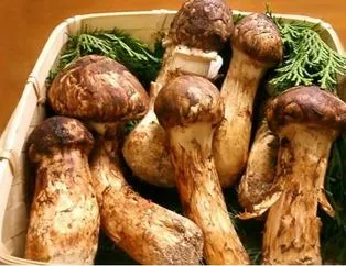 Fiyatı dudak uçuklatan yiyecekler