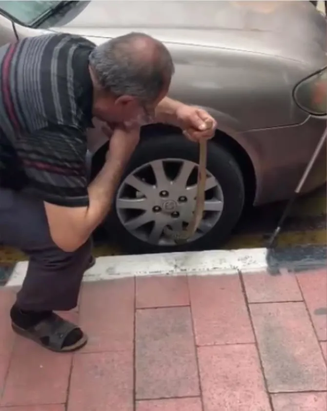 manisa-bu-adami-konusuyor-1-metre-uzunlugundaki-yilani-bulundugu-yerden-profesyonelce-cikardi-1716131599025.jpeg