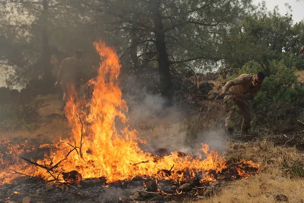 hdpli-selahattin-demirtasin-tehdidi-yine-gundemde-zannediyor-musunuz-bodrum-cizreye-cok-uzak-1627574514458.jpg HDP'li Selahattin Demirtaş'ın tehdidi yine gündemde: Zannediyor musunuz Bodrum Cizre'ye çok uzak-3