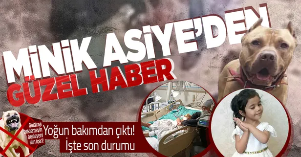 Pitbull saldırısında yaralanan Asiye yoğun bakımdan çıkarıldı servise alındı! İşte Asiye'nin sağlık durumu