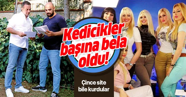 Adnan Oktar'ın 'kedicikler'i başına bela oldu! Adına Çince site bile kurdu