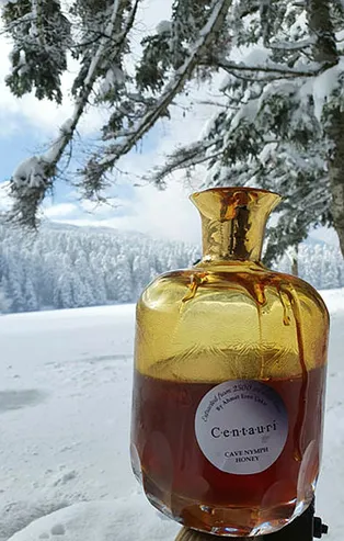 Türkiye'de mağaradan çıkarılan balın kilosu tam 10 bin euro! Guinness Rekorlar Kitabı'na girdi