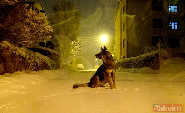 Kar yağışı haritası değişti: O illerde 20 CM'ye ulaşacak! İstanbul ve Ankara için yeni senaryo - 34