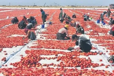 Diyarbakır’dan İtalya’ya