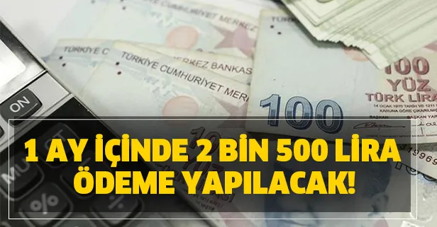 Emeklilere 1 ay içinde 2 bin 500 lira ödeme yapılacak!