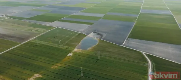 MTA 30 sözleşmeli personel alımı şartları neler? MTA personel alımı kadro ve kontenjanları nasıl? - 5