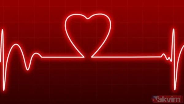 "Beyin Bombası" İle Test Araştırmacılar, Yüksek Yağlı Yiyeceklerin Beyni Nasıl Etkilediğini Anlamak İçin 18-35 Yaşları Arasında 20 Erkek Ve 60-80 Yaşları...