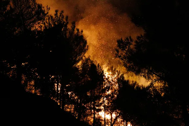 Son dakika: Hatay'da 25 farklı noktada orman yangını-4