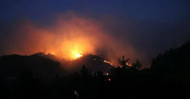 Aydın'ın Çine ve Söke ilçelerinde yangın!