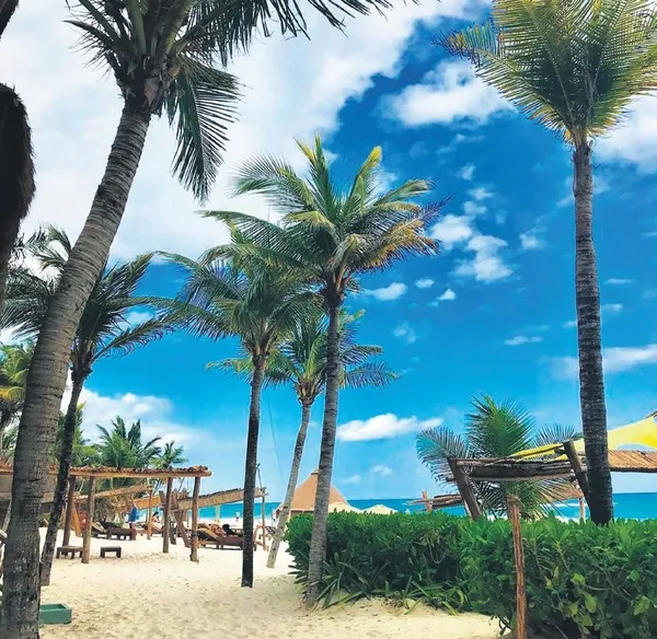 Önder Bekensir Meksika’nın tatil beldesi Tulum’da dehşeti yaşadı-2