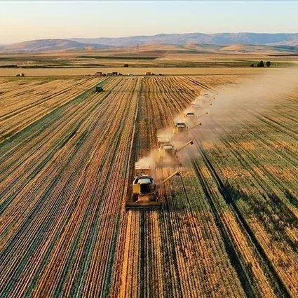 TÜİK raporladı: Tarımsal girdi fiyat endeksi belli oldu