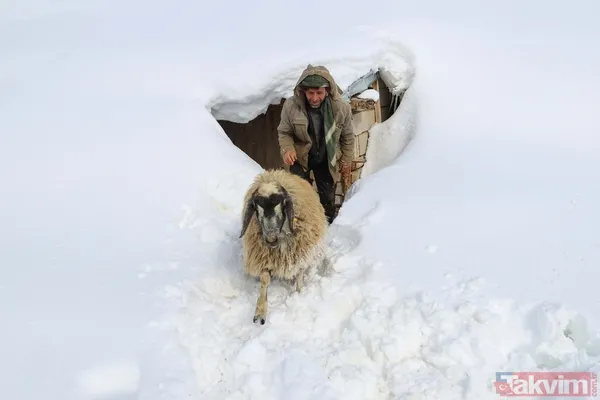 Kar kalınlığı 2 metreyi aştı! Van'ın köylerinde 'beyaz esaret' yaşanıyor - 16