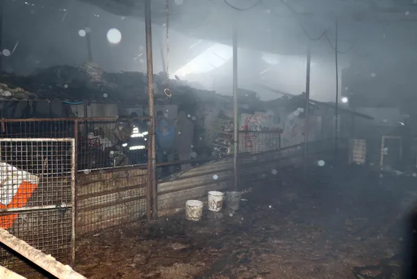 eskisehirde-turgutlar-mahallesinde-agilda-cikan-yangin-3-saatte-sonduruldu-50-hayvan-telef-oldu-800-bin-lira-z-1643191262841.jpg Eskişehir'de Turgutlar Mahallesi'nde ağılda çıkan yangın 3 saatte söndürüldü! 50 hayvan telef oldu 800 bin lira zarar-5