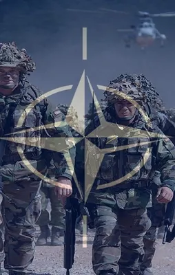 NATO'dan sürpriz Irak kararı