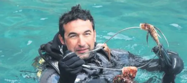 Denizde aslan paniği