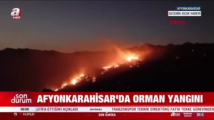 Afyonkarahisar’da orman yangını!