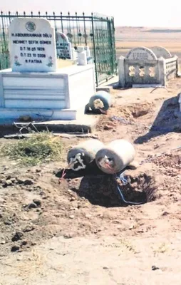 Hainlikte sınır tanımadılar!