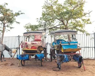 Büyükada’da Ruam paniği! Tüm otel rezervasyonları iptal!