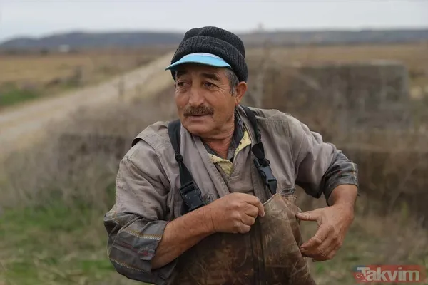 Günlük 900 lira kazanıyorlar! Türkiye'nin birçok ilinden toplanan kurbağalar Avrupa'ya ihraç ediliyor - 48