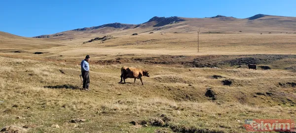 Aslan yattığı yerden belli olur! Trabzon ve Gümüşhane sınırları arasında bulunan Kurtdere Yaylası'nda yaz sonrası çöpler kaldı - 8