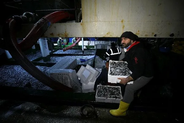 igneadada-hamsi-bereketi-balikcinin-yuzunu-guldurdu-balik-bollugu-fiyatlara-da-yansiyacak-1611085823157.jpeg İğneada'da hamsi bereketi balıkçının yüzünü güldürdü: Balık bolluğu fiyatlara da yansıyacak-5